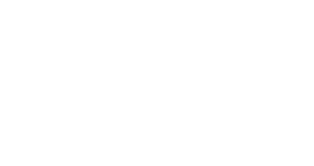 גינדי אחזקות